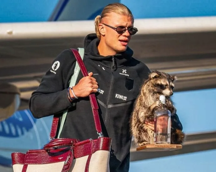 HAALAND DESCE DO AVIÃO COM GUAXINIM DE PELÚCIA CARO HAALAND DESCE DO AVIÃO COM GUAXINIM DE PELÚCIA CARO