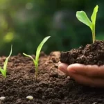 AgTech Stenon capta R$ 106 milhões para expansão no Brasil com tecnologia inovadora em fertilização