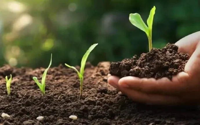 AgTech Stenon capta R$ 106 milhões para expansão no Brasil com tecnologia inovadora em fertilização AgTech Stenon capta R$ 106 milhões para expansão no Brasil com tecnologia inovadora em fertilização