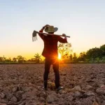 ABRAFILTROS Destaca a Importância da Filtração no Dia do Agricultor