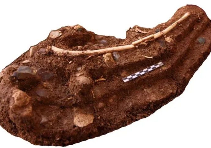 Nova pesquisa sugere que ‘hobbits’ sobreviveram como necrófagos Nova pesquisa sugere que ‘hobbits’ sobreviveram como necrófagos