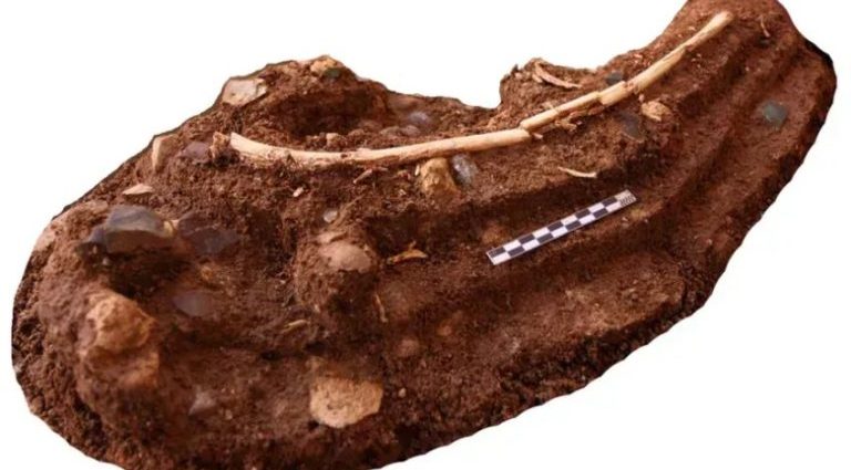 Nova pesquisa sugere que ‘hobbits’ sobreviveram como necrófagos