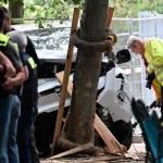 Atropelamento em Berlim deixa um morto e dezenas de feridos durante Parada do Orgulho