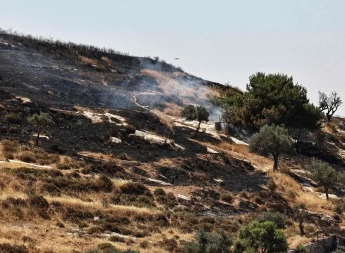 Cisjordânia: Pároco de Taybeh defende preservação da presença cristã diante de ameaças