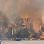 Incêndios na Itália: Relatório Revela Falhas na Prevenção e Aumento da Devastação