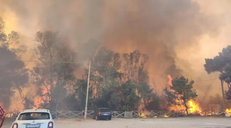 Incêndios na Itália: Relatório Revela Falhas na Prevenção e Aumento da Devastação