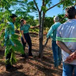EQUIPE DE JARDINAGEM PARTICIPA DE TREINAMENTO SOBRE PODA DE ÁRVORES