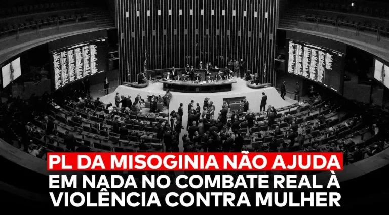 Entenda o PL da Misoginia e Seus Principais Problemas