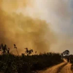 Desafios Climáticos no Pantanal: Seca Extrema e El Niño Ameaçam Ecossistema