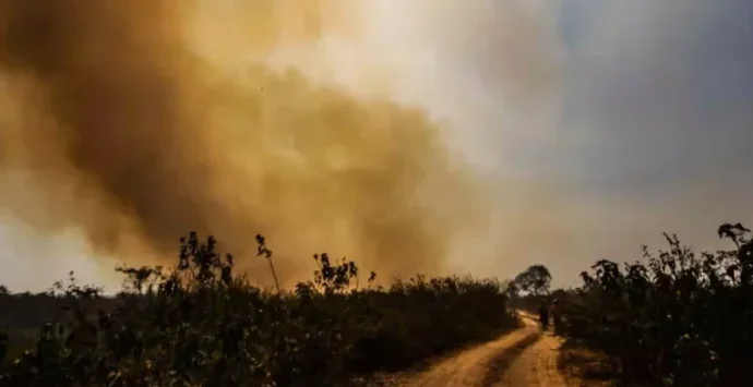 Desafios Climáticos no Pantanal: Seca Extrema e El Niño Ameaçam Ecossistema Desafios Climáticos no Pantanal: Seca Extrema e El Niño Ameaçam Ecossistema