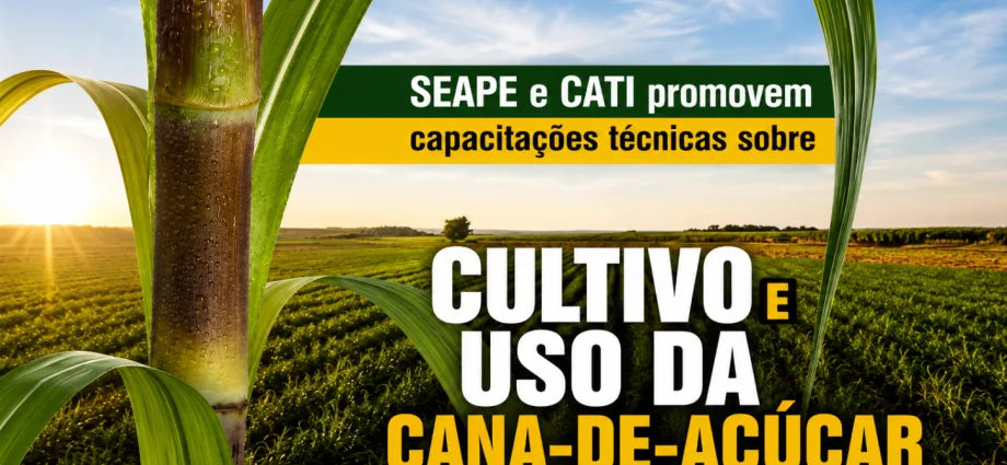 CAPACITAÇÕES SOBRE CANA-DE-AÇÚCAR EM CASTILHO SP CAPACITAÇÕES SOBRE CANA-DE-AÇÚCAR EM CASTILHO SP
