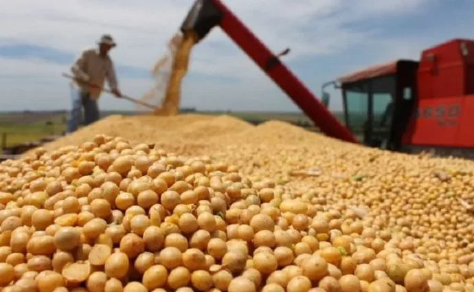 Novo Plano Safra de R$ 516,2 bilhões Destaca Limites do Crédito Público no Agronegócio