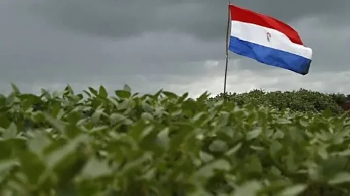 Paraguai se prepara para safra recorde de soja, enquanto milho enfrenta desafios climáticos Paraguai se prepara para safra recorde de soja, enquanto milho enfrenta desafios climáticos