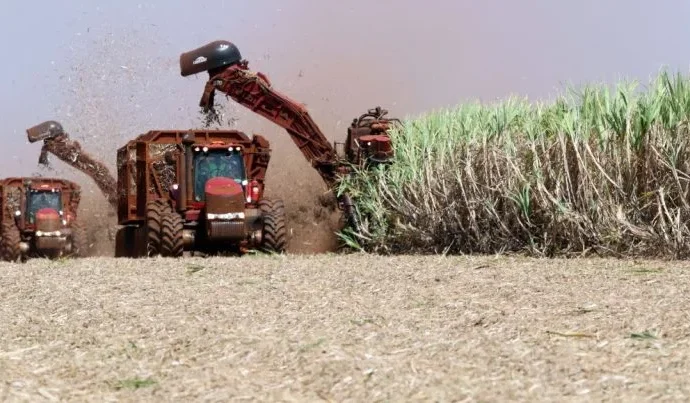 Crescimento de 3% na área cultivada com cana-de-açúcar no Centro-Sul para a safra 2026/27 Crescimento de 3% na área cultivada com cana-de-açúcar no Centro-Sul para a safra 2026/27