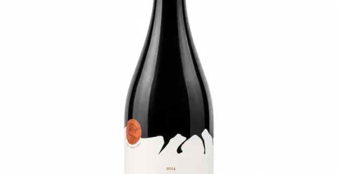 Casa Soncini Lança Terra Rossa 2024, Uma Syrah de Inverno com Identidade Brasileira