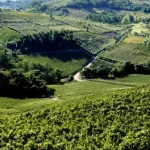 Vale dos Vinhedos no Rio de Janeiro: Vinhos na Serra Promove Encontro de Vinícolas