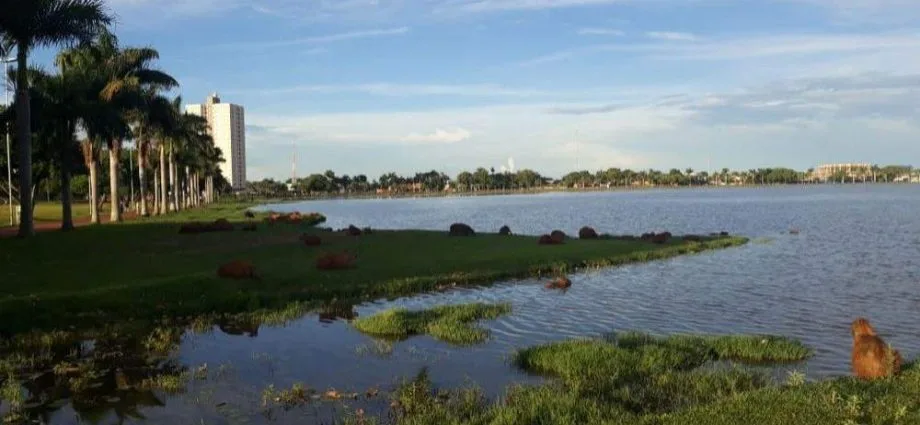 Previsão do Tempo: Calor Intenso e Baixa Umidade em Três Lagoas
