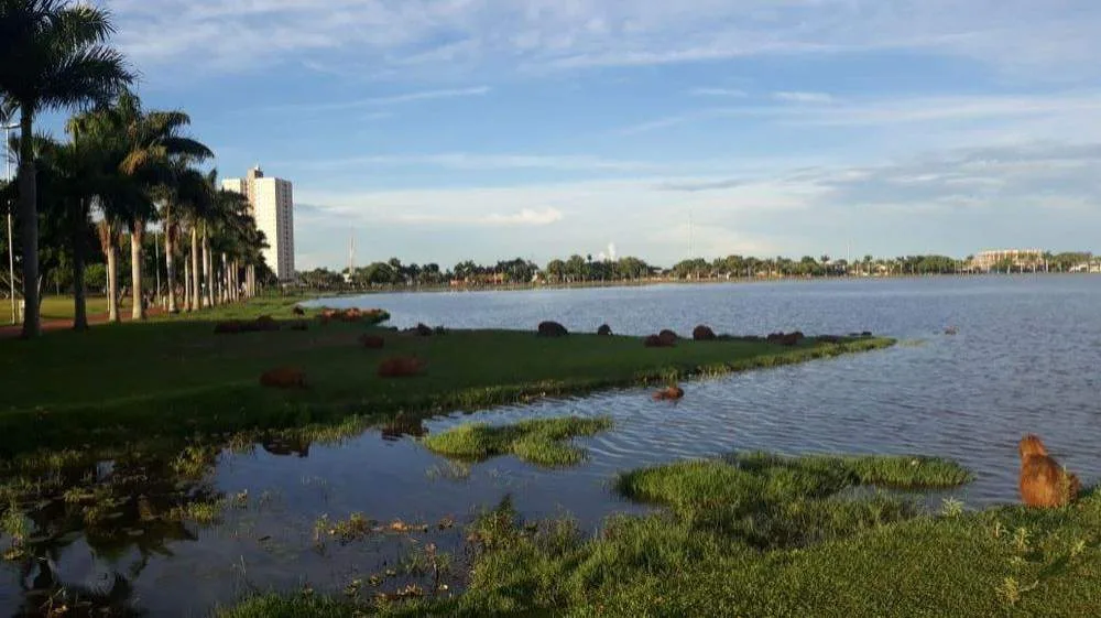 Previsão do Tempo: Calor Intenso e Baixa Umidade em Três Lagoas