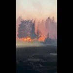Incêndios Florestais Devastam Região de Spokane, Washington