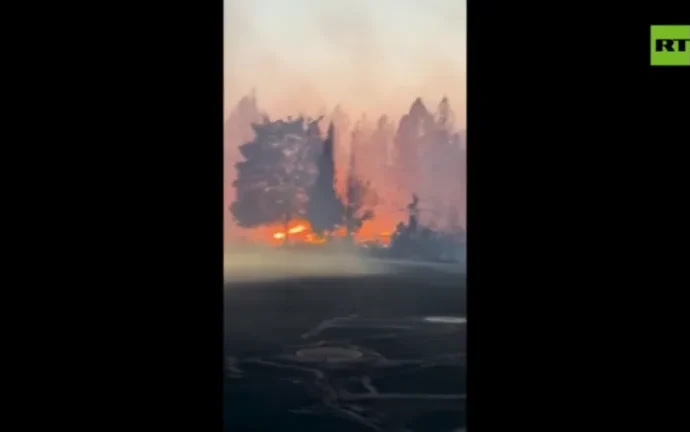 Incêndios Florestais Devastam Região de Spokane, Washington