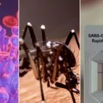 Três Lagoas registra 76 casos de dengue e 10 de Covid-19 em boletim epidemiológico