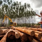 Suzano abre vagas para operadores e mecânicos de máquinas