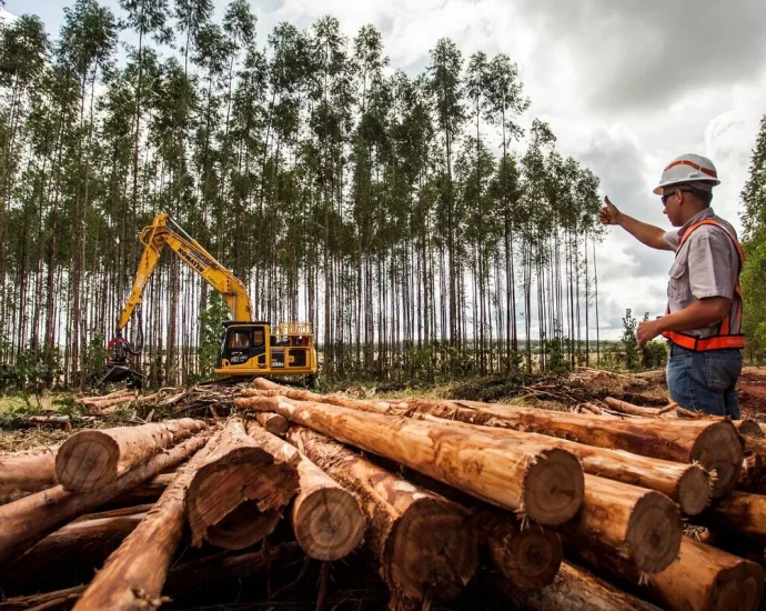 Suzano abre vagas para operadores e mecânicos de máquinas
