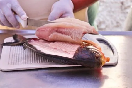 Abertas inscrições para oficina gratuita de gastronomia voltada ao turismo náutico e à pesca