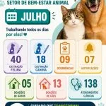 Balanço do Bem-Estar Animal em Castilho: 138 atendimentos e 18 adoções em julho