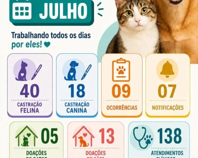 Balanço do Bem-Estar Animal em Castilho: 138 atendimentos e 18 adoções em julho