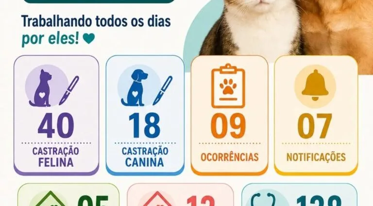 Balanço do Bem-Estar Animal em Castilho: 138 atendimentos e 18 adoções em julho Balanço do Bem-Estar Animal em Castilho: 138 atendimentos e 18 adoções em julho
