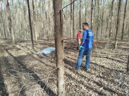 Três Lagoas: Novidades e Oportunidades na Cidade Homem desaparecido é encontrado morto em plantação de eucaliptos na região do Arapuá