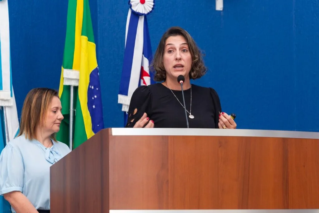 Fogos de artifício viram tema de audiência pública na Câmara