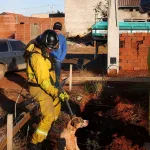 BRIGADA MUNICIPAL DE CASTILHO RESGATA CÃO QUE CAIU EM BURACO