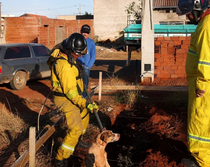 BRIGADA MUNICIPAL DE CASTILHO RESGATA CÃO QUE CAIU EM BURACO