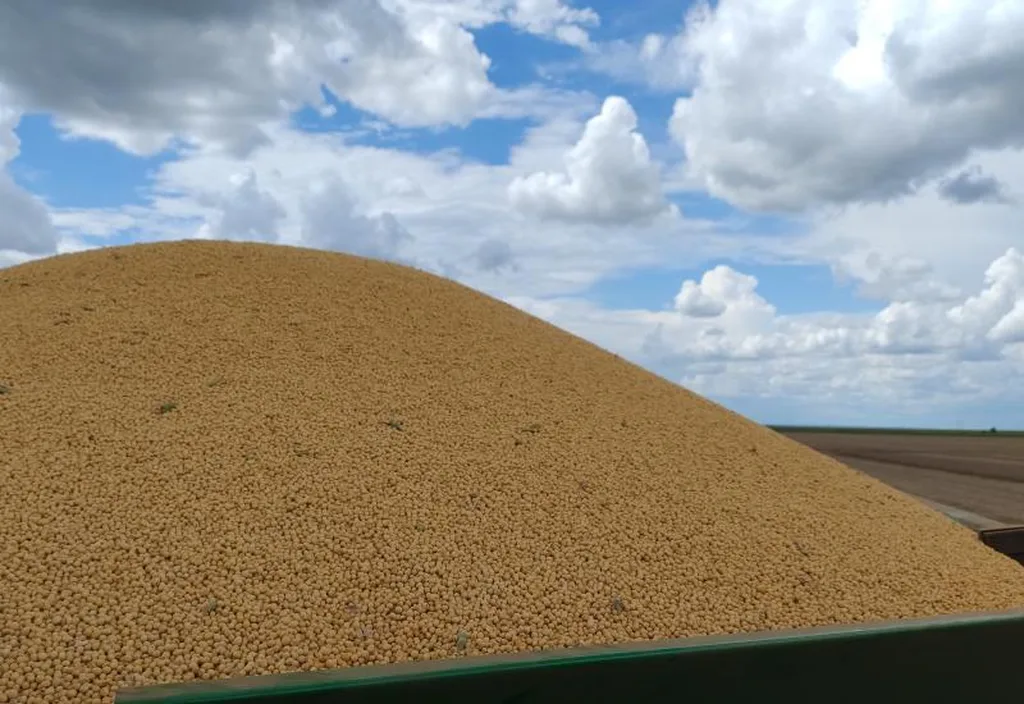 Colheita de milho em Mato Grosso do Sul atinge 75% da área plantada