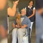 Idoso é surpreendido com visita de cachorrinha em hospital de Votuporanga