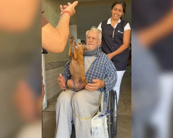 Idoso é surpreendido com visita de cachorrinha em hospital de Votuporanga