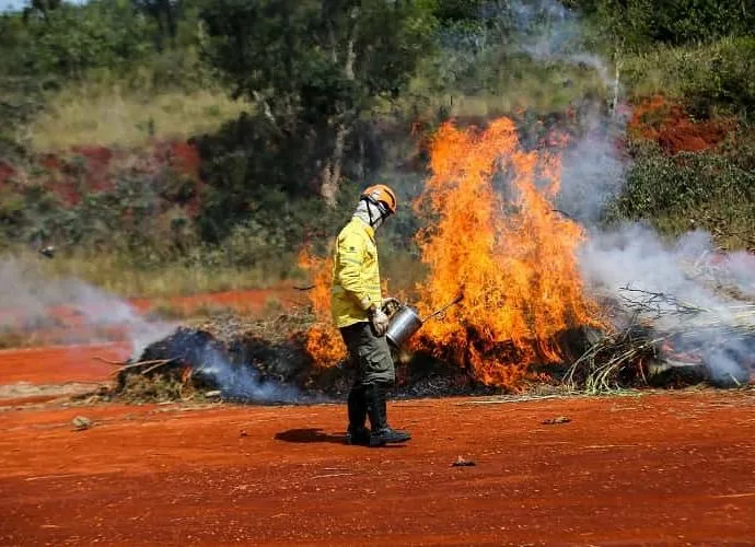 Queimadas no interior de SP: calor e umidade abaixo de 30% aumentam risco Queimadas no interior de SP: calor e umidade abaixo de 30% aumentam risco