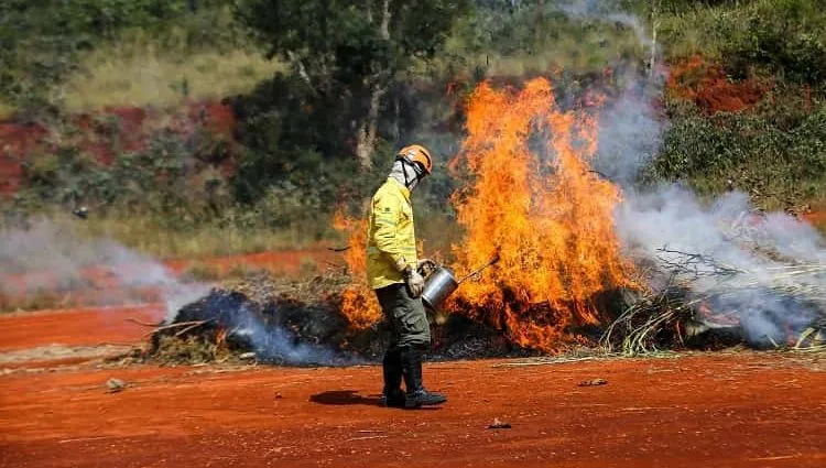 Calor intenso em São Paulo eleva risco de queimadas no interior