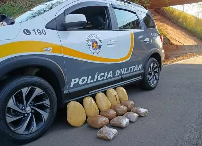 Mulher é detida com 12 kg de skank em ônibus na SP-300