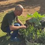 Soluções Sustentáveis: Resíduos se Transformam em Adubo e Carvão no Interior de SP