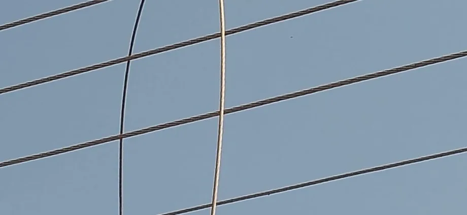 Castilho: Prefeitura esclarece interrupção de energia e água no Iate Urubupungá Pauta recebida por e-mail