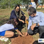Dia da Árvore em Castilho 2026: Ação Plantando o Futuro