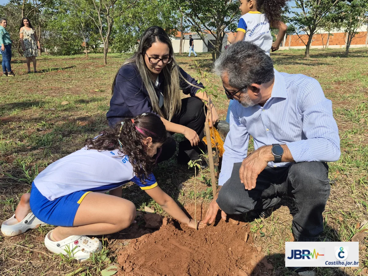 Dia da Árvore em Castilho 2026: Ação Plantando o Futuro