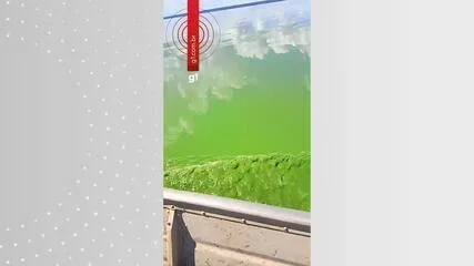 Moradores registram Rio Tietê com coloração verde em Adolfo