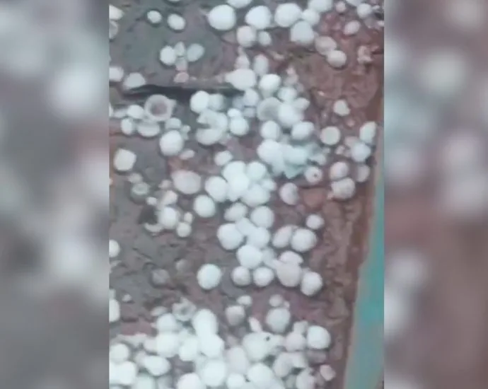 Chuva de granizo atinge Nova Cardoso, em Itajobi (SP), nesta segunda-feira Chuva de granizo atinge Nova Cardoso, em Itajobi (SP), nesta segunda-feira