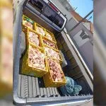Vigilância Sanitária interdita fábrica clandestina de produtos de origem animal em Birigui