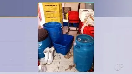 Fábrica clandestina de produtos de origem animal é interditada em Birigui