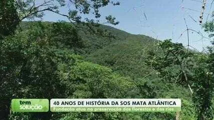SOS Mata Atlântica completa 40 anos com foco em preservação no interior de SP